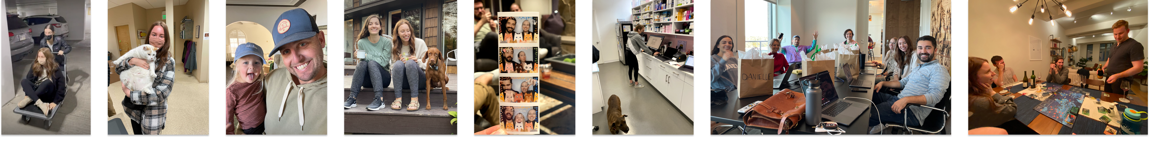 Milo | Software for animal hospitals designed to make humans happy